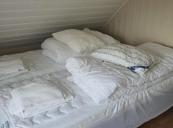 Camp Saltstraumen-elvegard *